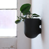Bender Wall Planter