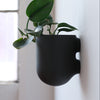 Bender Wall Planter