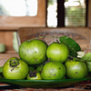 Black Sapote, Seedling (Diospyros nigra)
