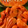 Jackfruit 'Borneo'  (Artocarpus heterophyllus)