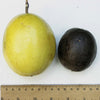 Yellow Passion Fruit Seeds – Vine Passiflora Edulis Flavicarpa Golden Passionfruit Purple & White Flower – photo 10