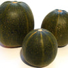 35 Sweet TATUME SQUASH Cucurbita Pepo Calabash Calabacita Mexican Zucchini Seeds