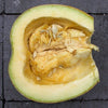 35 Sweet TATUME SQUASH Cucurbita Pepo Calabash Calabacita Mexican Zucchini Seeds