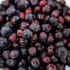20 SASKATOON SERVICEBERRY aka Western, Pacific, Juneberry, Shadbush Amelanchier Alnifolia Native Edible Purple Berry Fruit White Flower Shrub Seeds