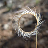 1000 BLUE GRAMA GRASS Gramma Bouteloua Gracilis Flower Mosquito Grass Seeds