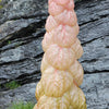 5 NOBLE RHUBARB Rheum Nobile Ornamental Sikkim Himalayan Glasshouse Plant Seeds