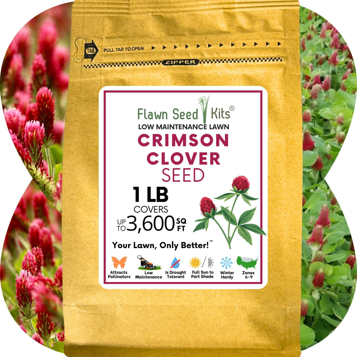 Crimson Clover Seed – photo 13