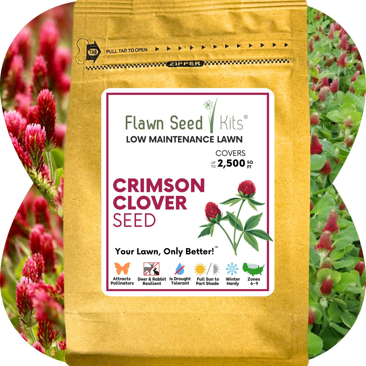 Crimson Clover Seed – photo 12