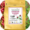 Crimson Clover Seed – photo 14