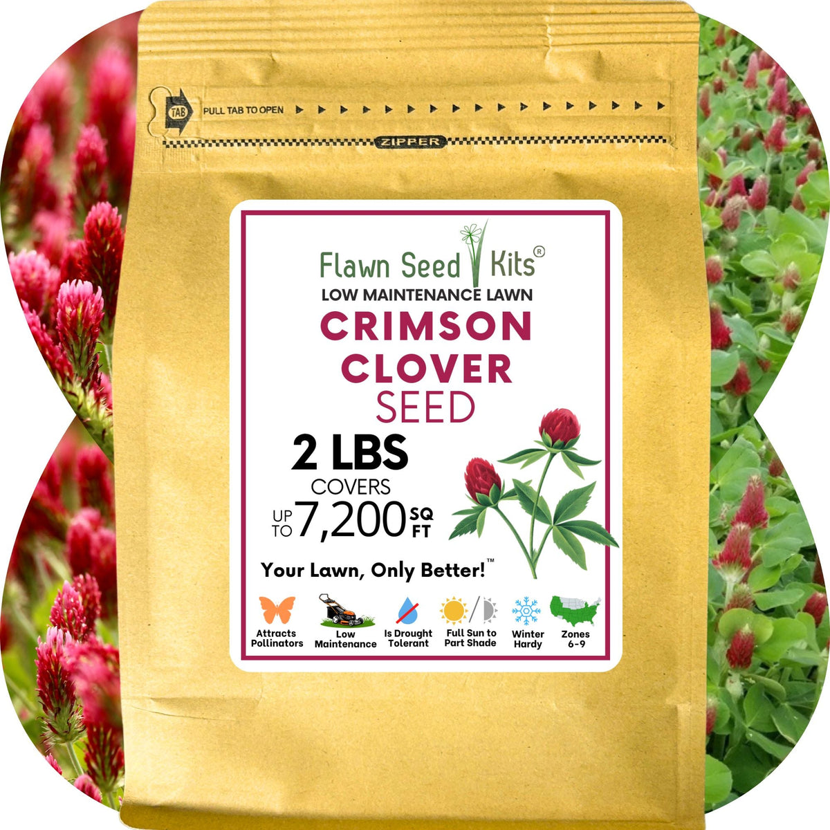 Crimson Clover Seed – photo 14