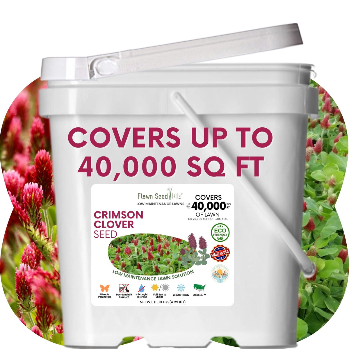 Crimson Clover Seed – photo 16