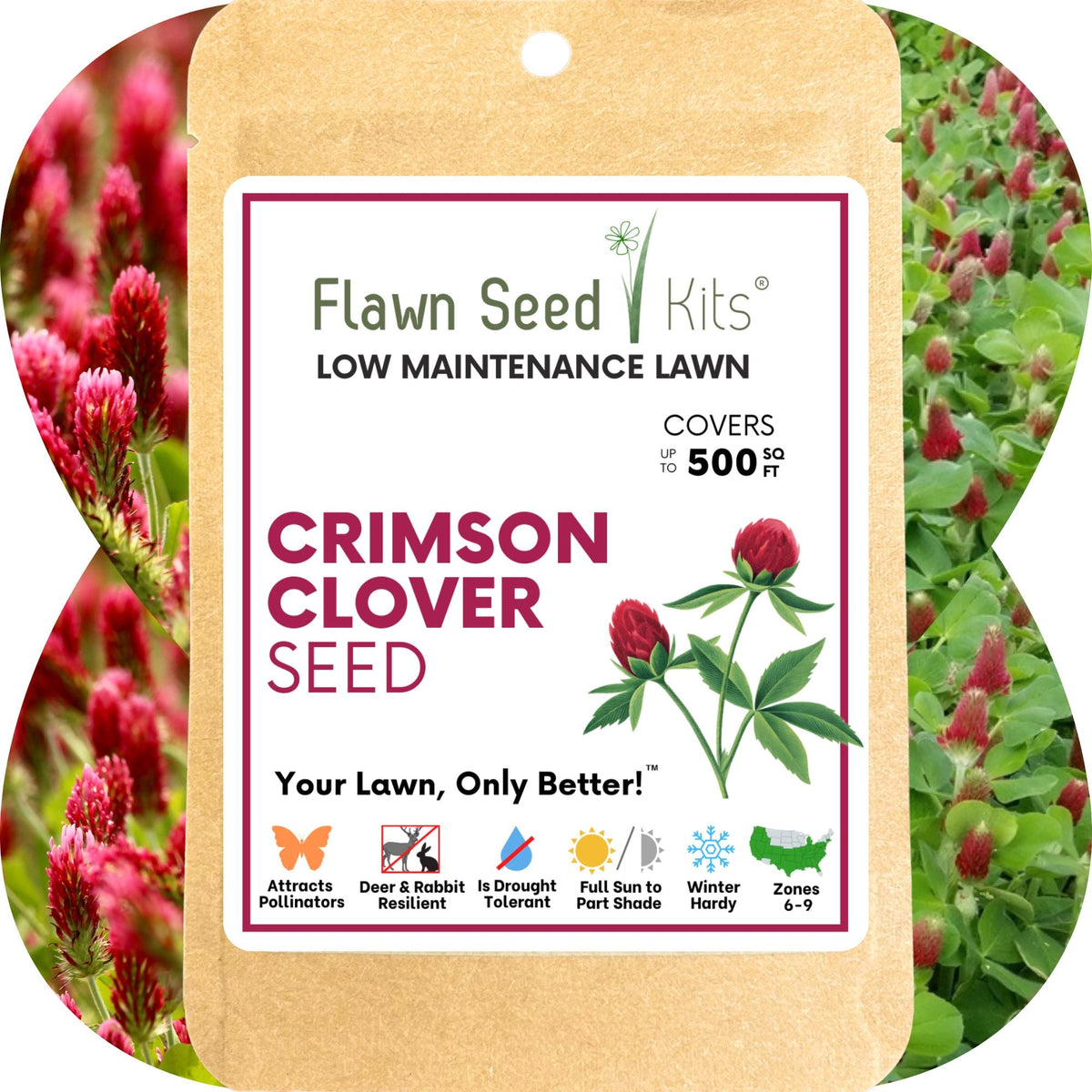 Crimson Clover Seed – photo 10