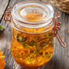 Orange Calendula (Calendula officinalis)
