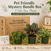 Pet Friendly Mystery Bundle Box - 3 Non-Toxic Plants