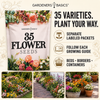 Wildflower, Perennial, & Annual Flower Seed Kit – 35 Variety Pack – photo 5