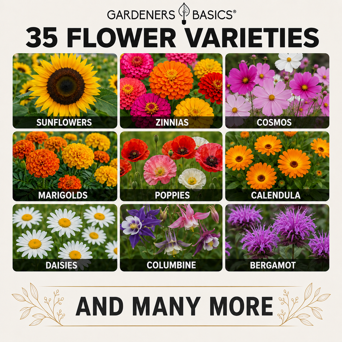 Wildflower, Perennial, & Annual Flower Seed Kit – 35 Variety Pack – photo 7