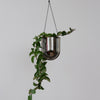 Portico Planter - Chrome