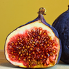 Fig 'Chicago Hardy' (Ficus carica)
