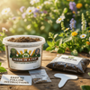 Pistachio Tree Grow Kit