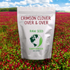Crimson Clover Seed (Trifolium incarnatum)
