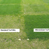Microclover Alternative Lawn – photo 6
