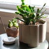 Pillar Planter