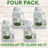 Dutch White Clover Easy Spread Shaker