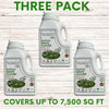 Dutch White Clover Easy Spread Shaker