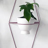 Diamond Eye Wall Planter