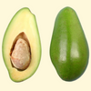 Avocado 'Donnie' (Persia americana)