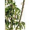 Golden Treat™ Fruit Snacks™ Apple Tree