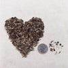 Monarch Meadow Native Mix – photo 2