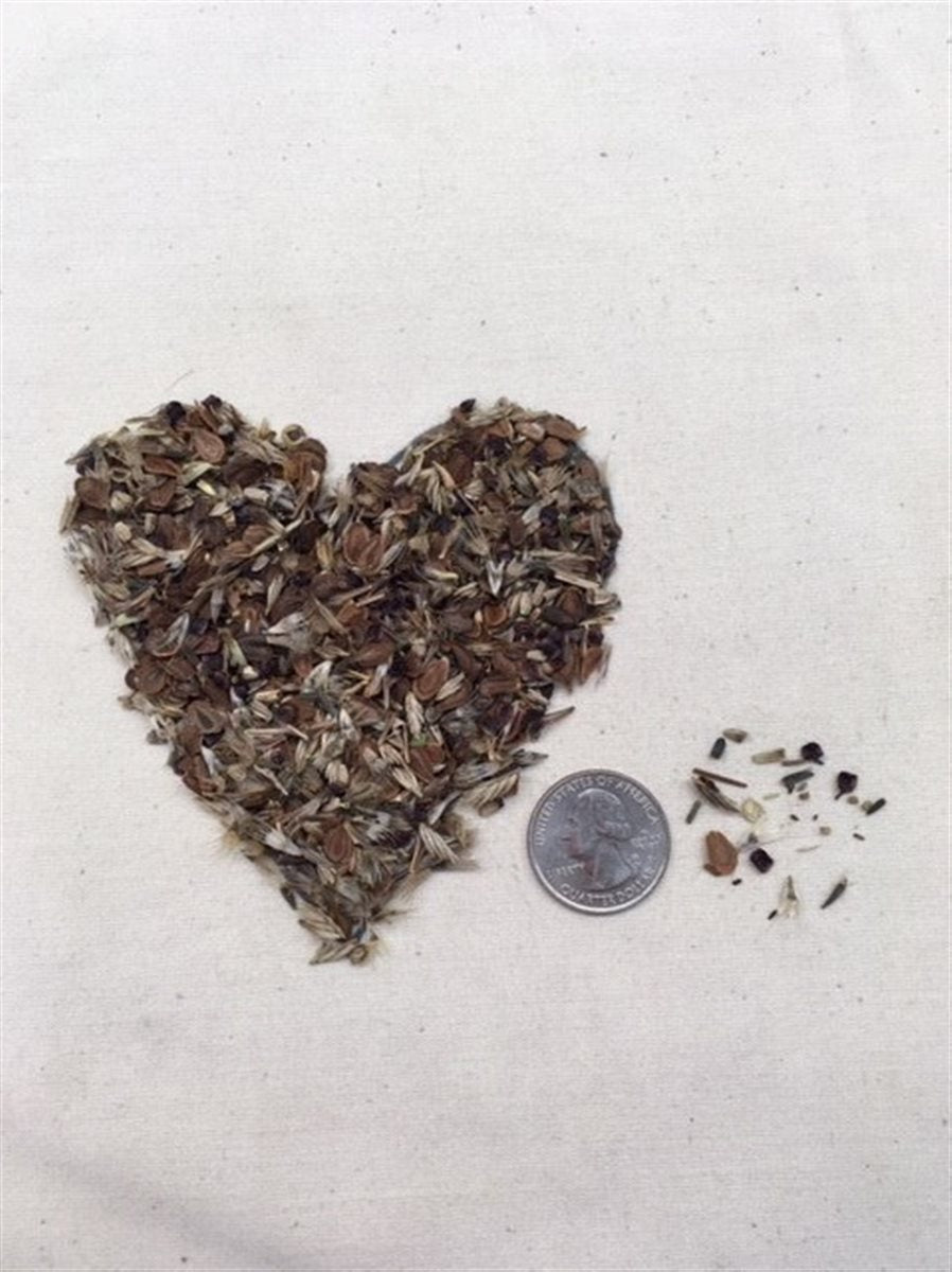 Monarch Meadow Native Mix – photo 2