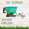 Simple Lawn Fine Fescue Grass Seed – photo 7