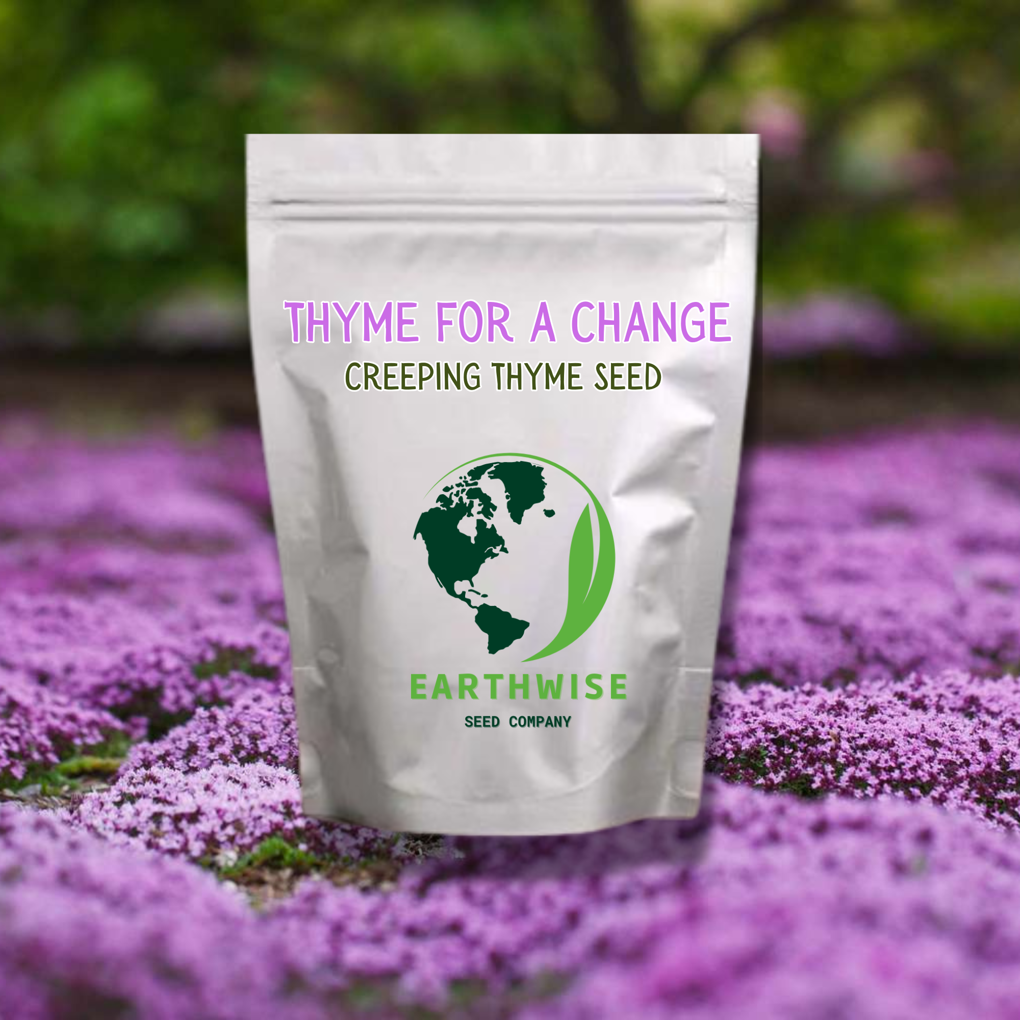 Thyme for a Change - Red Creeping Thyme Seed