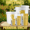 RAW Enzymes | Cellulase, Xylanase & Beta-Glucanase | Water-Soluble Supplement
