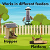 Pollinator & Wild Bird Seed Thick Bee Lawn Blend