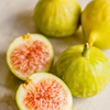 Fig 'Kadota' (Ficus carica)