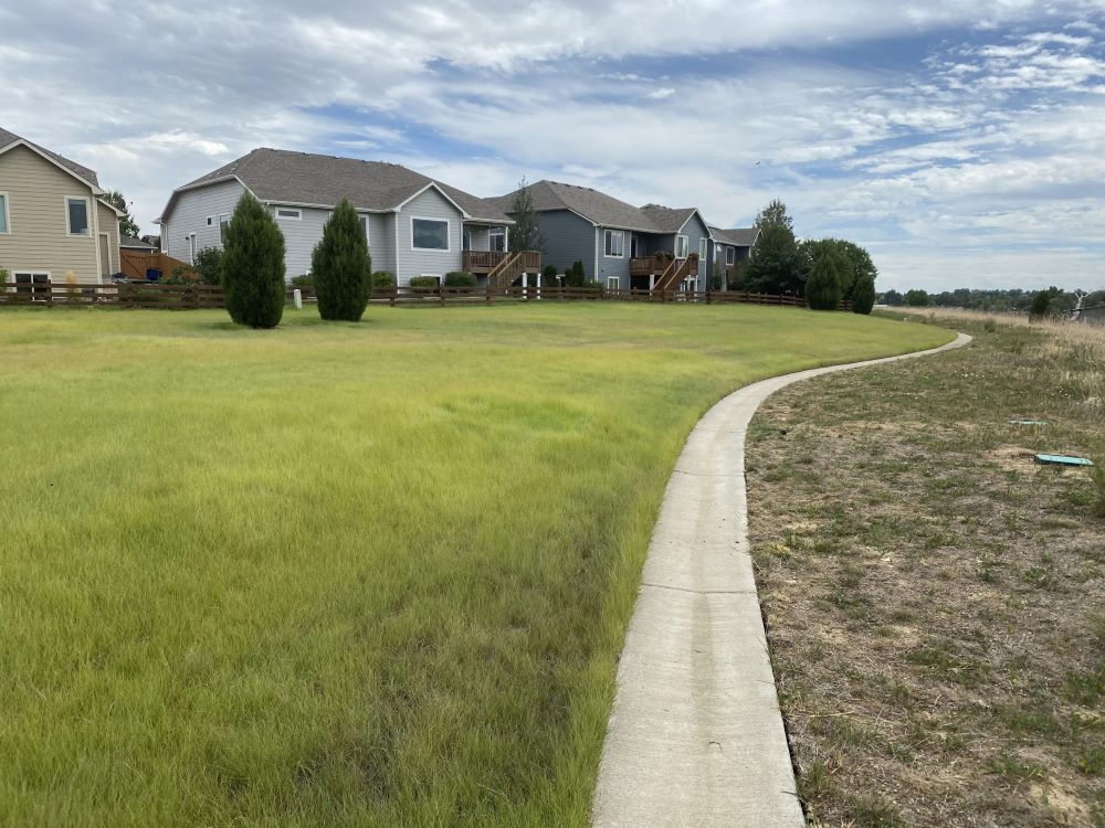 Fireguard Lawn Native Mix – Fire-Resistant Turf – photo 4