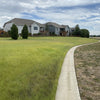 TrueGrass Native Grass Seed - The No Maintenance Native Lawn, Drought-Tolerant, Eco-Friendly Grass Blend