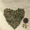 TrueGrass Native Grass Seed - The No Maintenance Native Lawn, Drought-Tolerant, Eco-Friendly Grass Blend