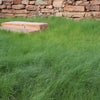 TrueGrass Native Grass Seed - The No Maintenance Native Lawn, Drought-Tolerant, Eco-Friendly Grass Blend