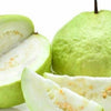Guava 'Thai White' (Psidium guajava)