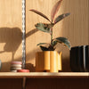 Pillar Planter