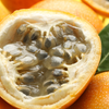 Golden Apple Passionfruit (Passiflora laurifolia)