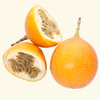 Golden Apple Passionfruit (Passiflora laurifolia)