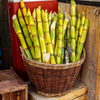 Sugar Cane 'Green'