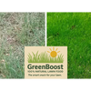 GreenBoost Natural Lawn Food – The Smart Snack for Your Lawn. – photo 3