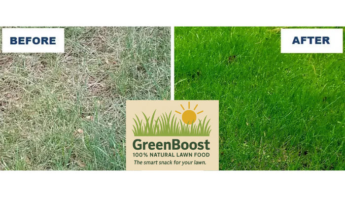 GreenBoost Natural Lawn Food – The Smart Snack for Your Lawn. – photo 3