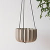 Wrap Hanging Kit – live plant – photo 3